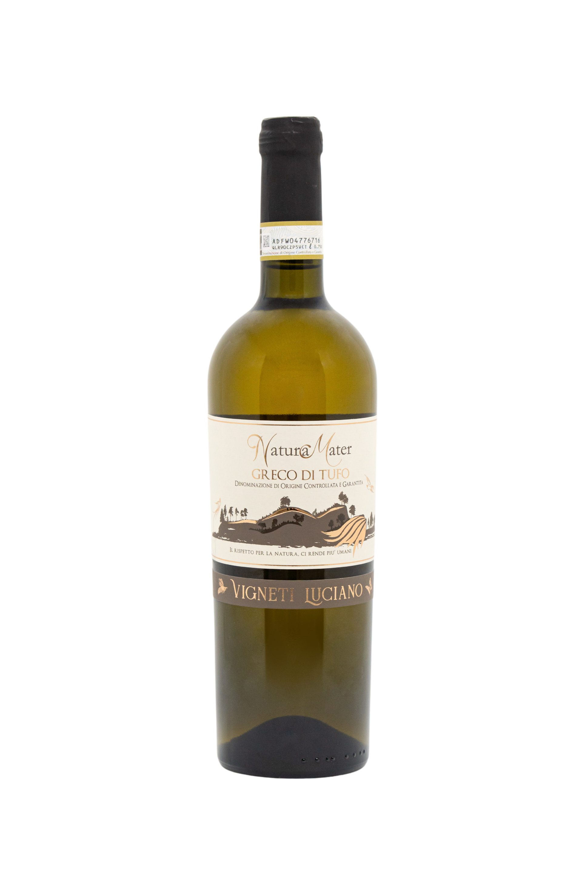 Offerta speciale su confezione da 6 Bottiglie Greco di Tufo D.O.C.G.
